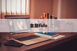 金融fido(金融fi是什么意思)